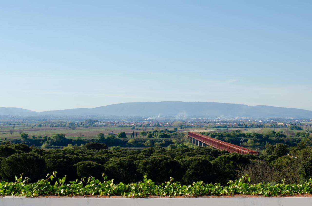 Convento Inn And Artists Residency Chamusca  Exterior foto